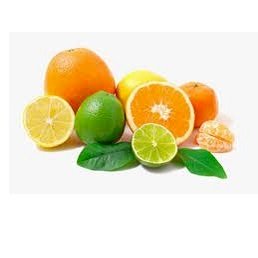فاكهة الحمضيات